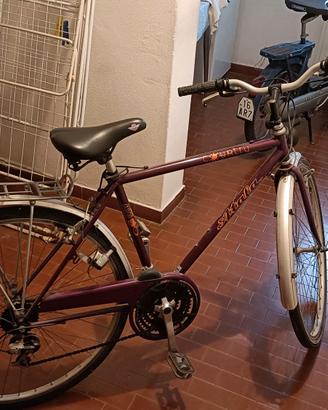 Bici unisex