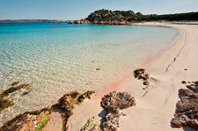 Bilocale centrale in palau 300 mt dal porticciolo