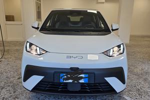 byd dolphin surf boost 