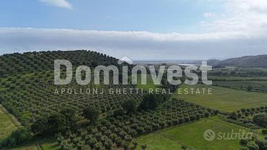 Rustico / Casale di 200 m² con più di 5 locali a C