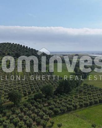 Rustico / Casale di 200 m² con più di 5 locali a C