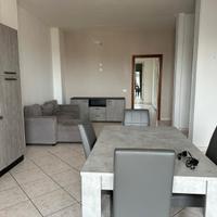 Bilocale arredato con Terrazzo