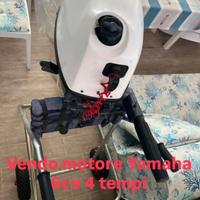 Motore fuoribordo Yamaha 6CV 4 tempi