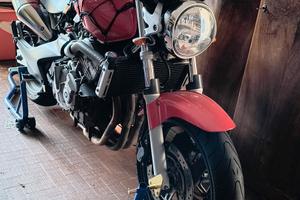 hornet 600