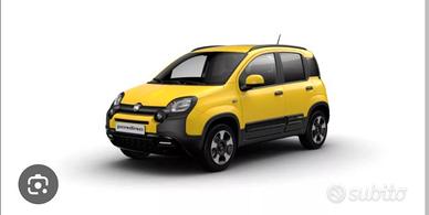 Fiat padina