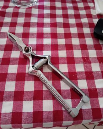 Masticatore