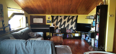 Monfalcone , zona Aris