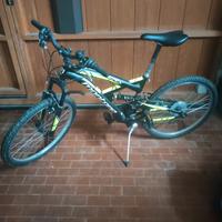 bicicletta 