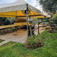 gazebo 6x6 ferro zincato