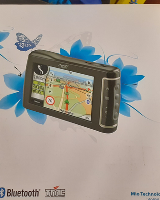 Navigatore satellitare