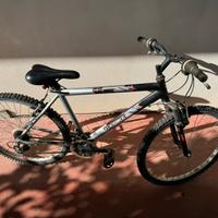 Bicicletta mountain bike