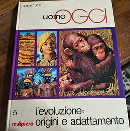 Uomo Oggi - L'evoluzione: origini e adattamento