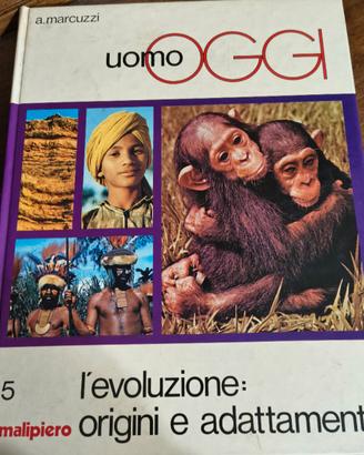Uomo Oggi - L'evoluzione: origini e adattamento