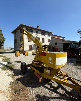 Caricaletame tussi