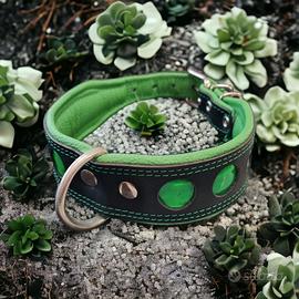 Collare in pelle imbottito da 53cm Green