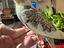 Immagine 3