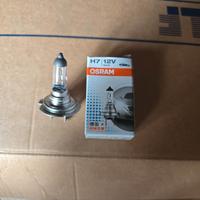 lampadina osram h7 80w