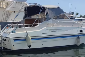 Narvalo 31