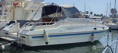 Narvalo 31