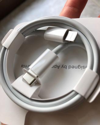 Apple Cavo da USB C a Lightning (1 m)