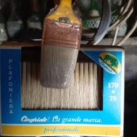 PENNELLI "CINGHIALE" VARIE MISURE