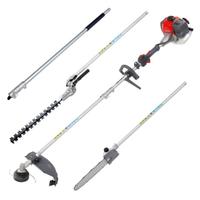 Efco DSH 2500D Decespugliatore multifunzione
