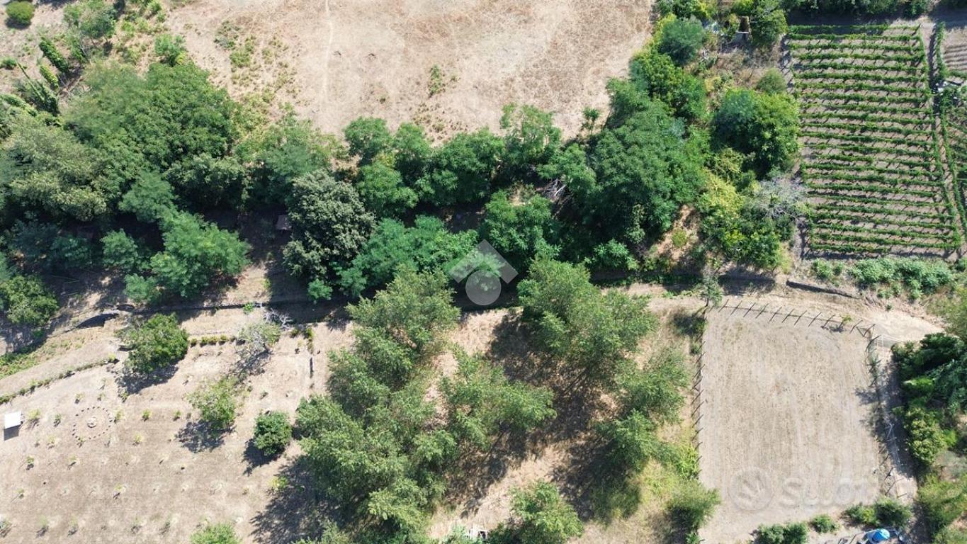 TERRENO A POLLENA TROCCHIA - Vista 4