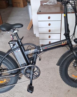 bicicletta elettrica 