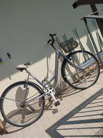 Bicicletta Olanda Venere bianca grigia e rosa