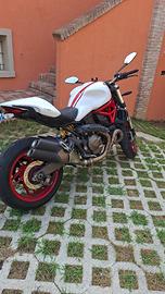 DUCATI MONSTER 821 DEL 2019