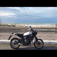 Yamaha XSR700 abs x tribute