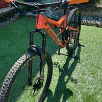 Orbea occam