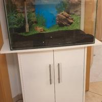Acquario Ciano 100 lt con filtro e mobile