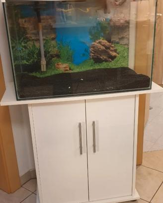 Acquario Ciano 100 lt con filtro e mobile