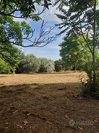 TER. AGRICOLO A MARINO