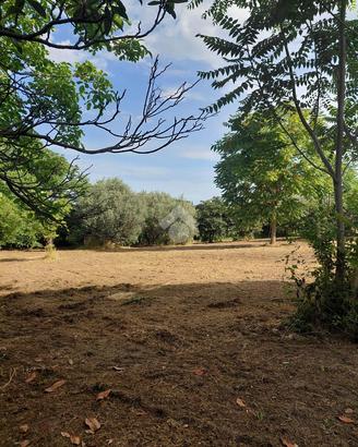 TER. AGRICOLO A MARINO