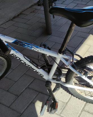 Bicicletta Bambino 20 pollici 
