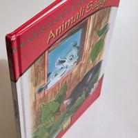 ANIMALI SAGGI - bolle di sapone, Il Paese del Sole