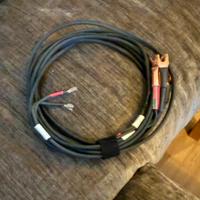 Cavi speaker Duelund