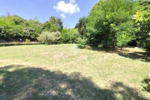 TER. AGRICOLO A TEOLO