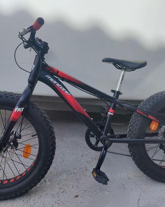 Mountain Bike Fat