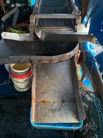 Vaglio da vongole +nastro trasportatore