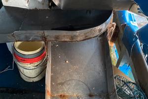 Vaglio da vongole +nastro trasportatore