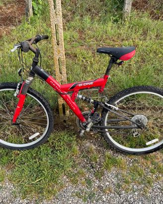 Bicicletta mountanbike bi-ammortizzata