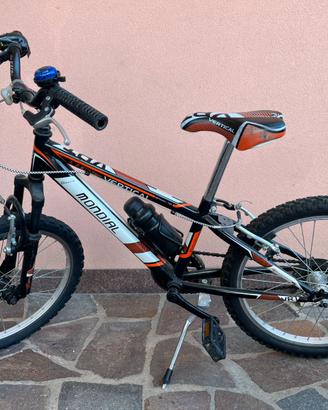 Bicicletta bambino dai 5/6 anni ai 9/10
