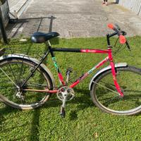 Mtb Willer per ragazza/ragazzo