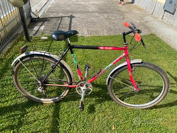 Mtb Willer per ragazza/ragazzo