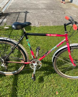 Mtb Willer per ragazza/ragazzo