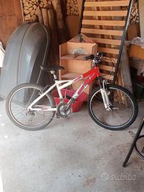 Bicicletta da ragazzo 8/12