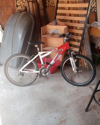 Bicicletta da ragazzo 8/12